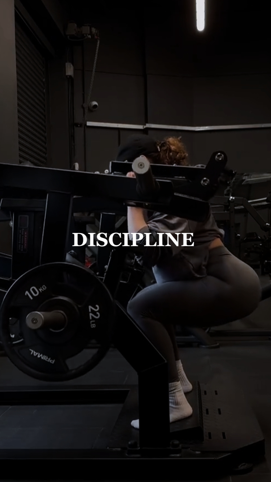 DISCIPLINA 