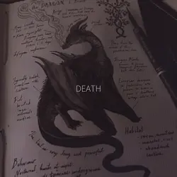 Book Lore :>