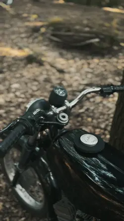 4 Clips hinzufügen