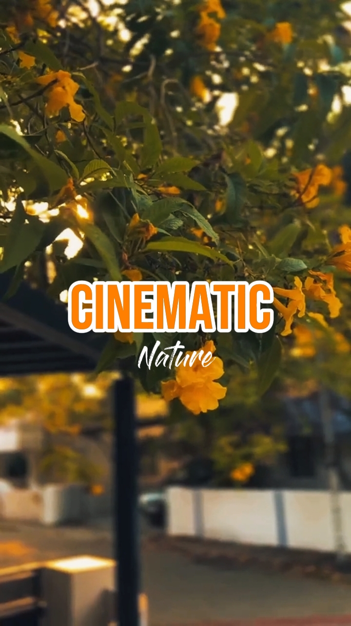 Nature CINÉMATIQUE 