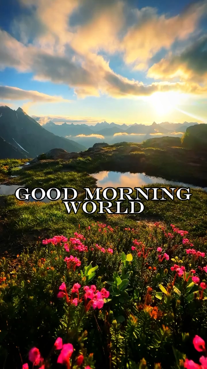 Good morning world 
