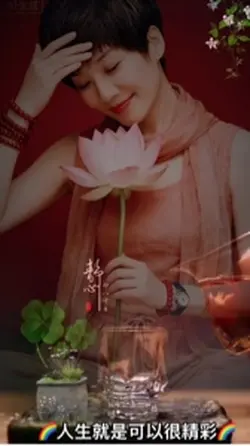 夏姐
