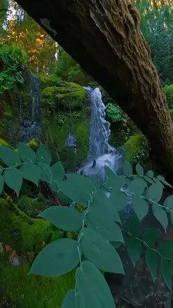 cinematic video
