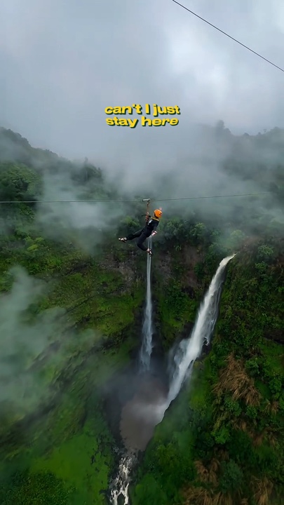 Zorro volador 