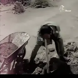 Respect