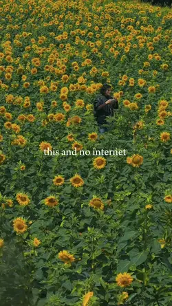 this and no internet