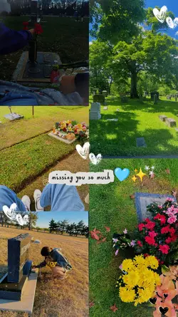 5pics heaven