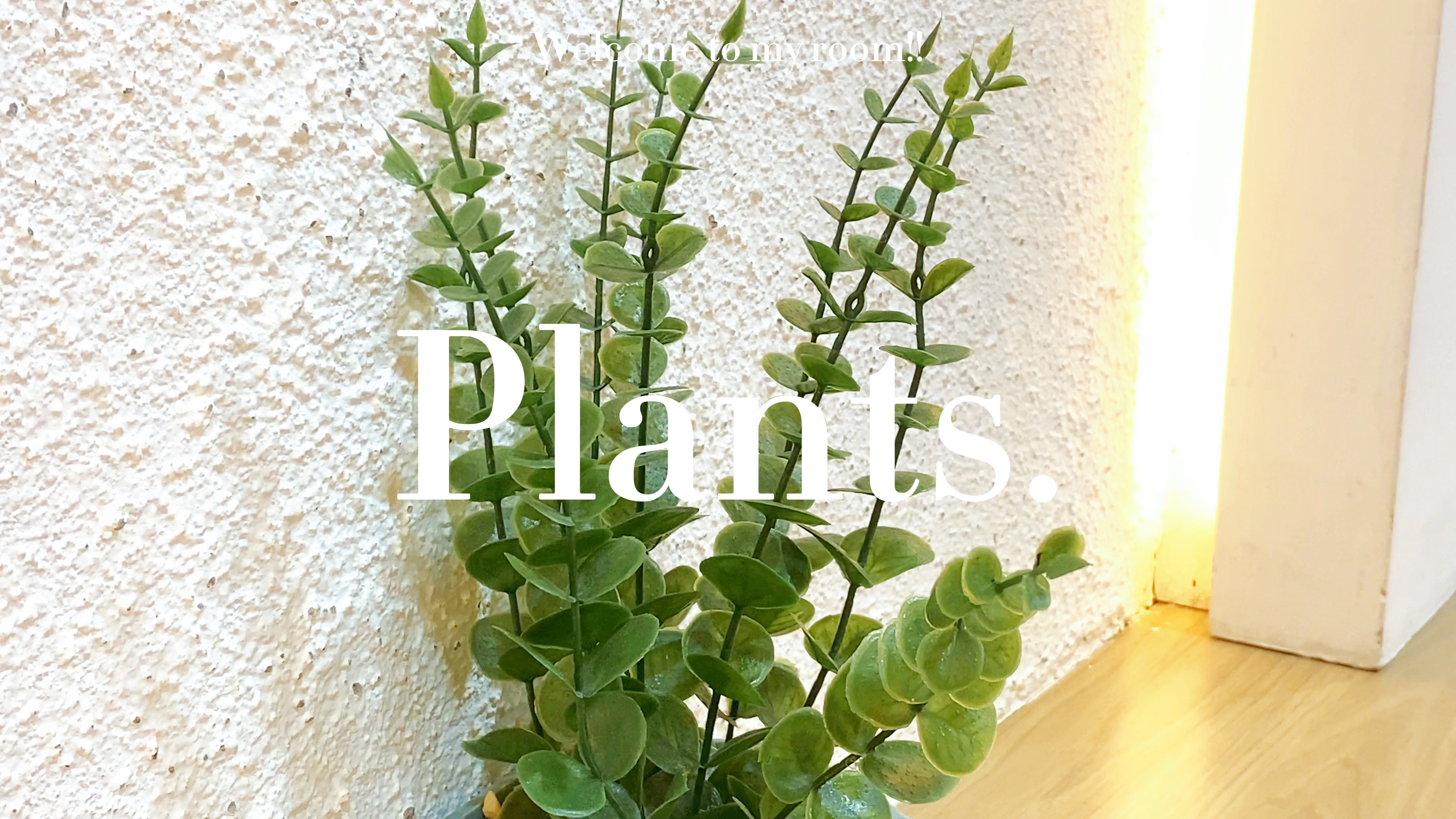 ¿Planta?