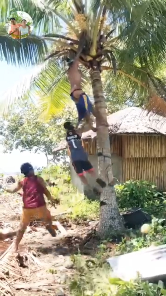 MANJA KELAPA