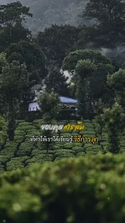ขอบคุณชีวิต