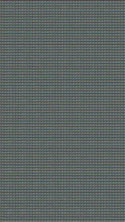 Trend 1000 foto