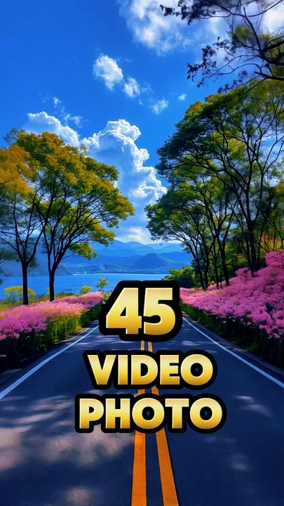 45 vídeos ou fotos 