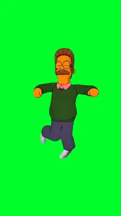 Ned flanders bands
