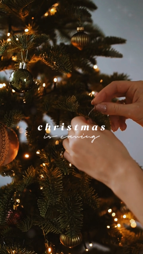 christmas is coming