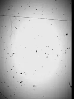 ICU.V7
