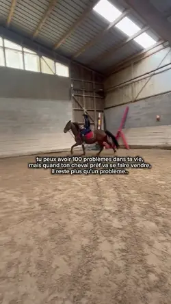 plus qu'un problème.
