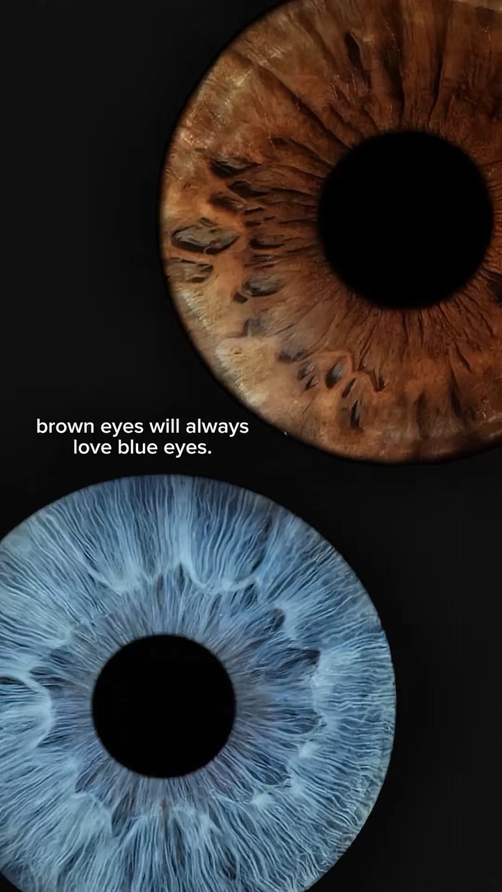 brun amour yeux bleus