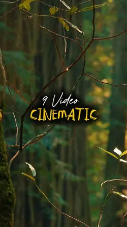 9 Clip Video