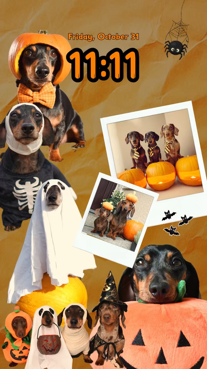 Fondo de pantalla de Halloween