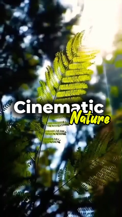 cinematic nature 