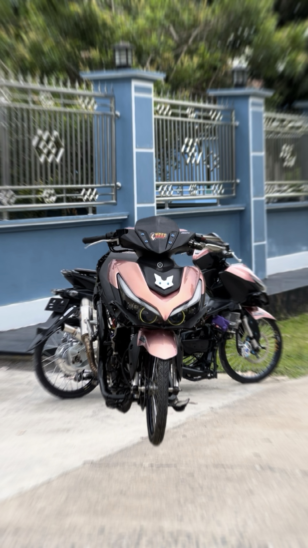 Cover Picture