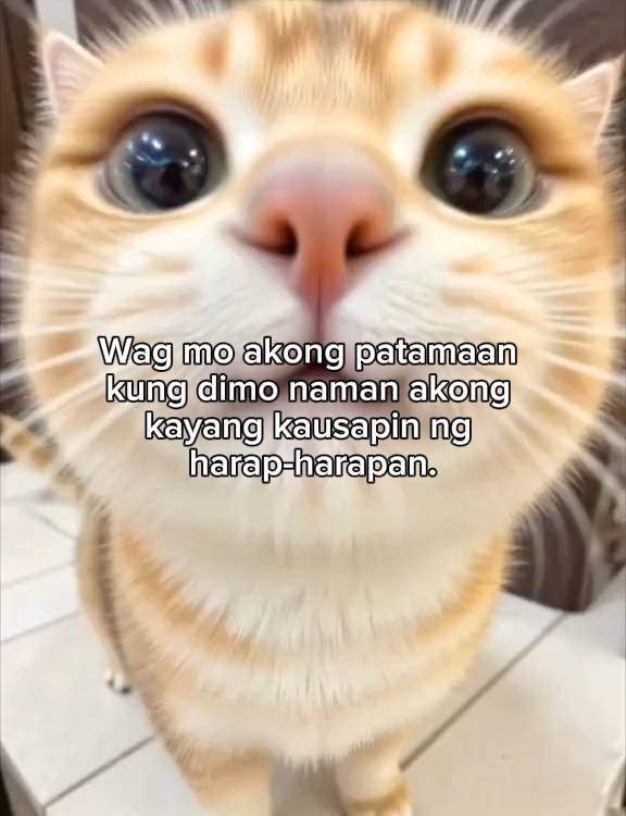 Takot ka