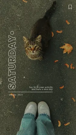 Saturday 