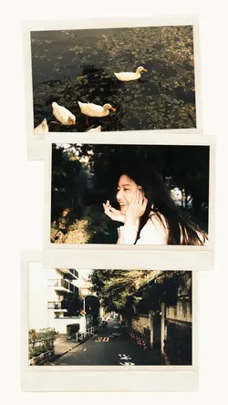 3 Frame polaroid