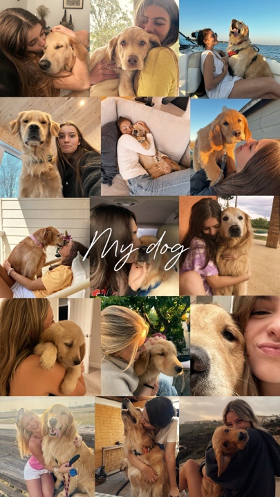 Mein Hund