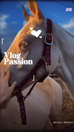 Vlog passion