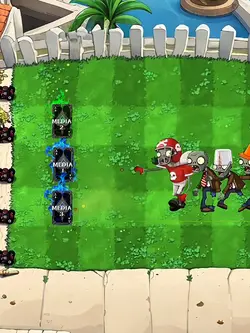 PLANTS VS ZOMBIES