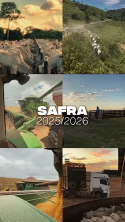 Agrogirl | Roça