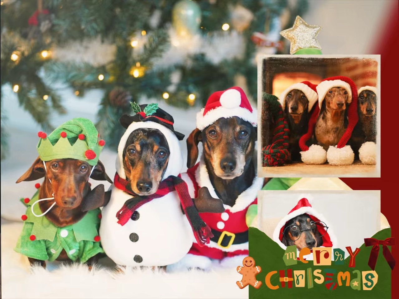 Frohe Weihnachten