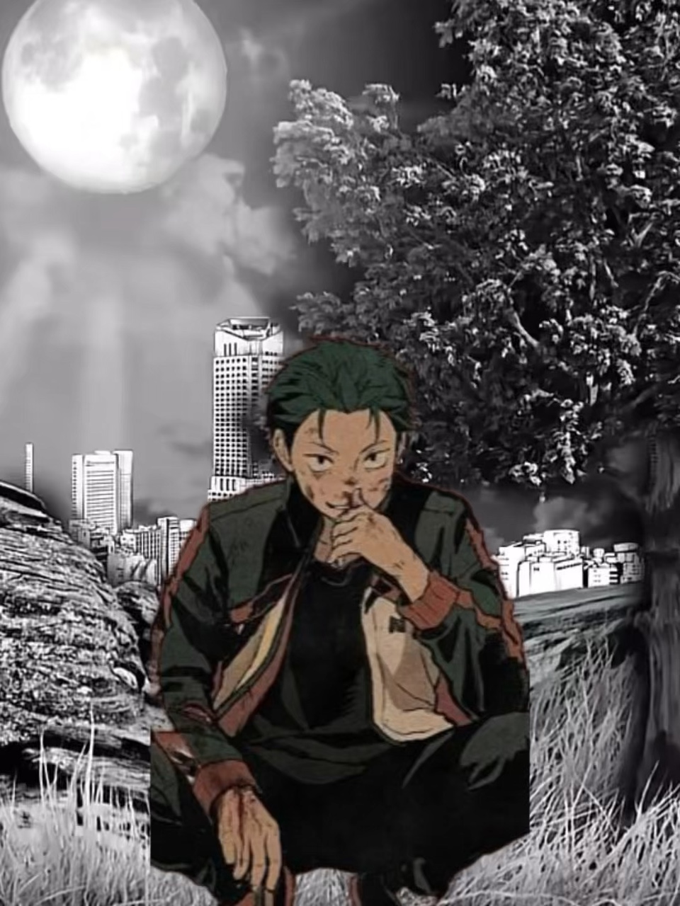 Cover Picture