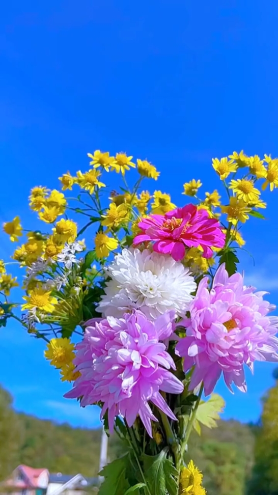 Flower Lover