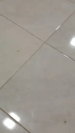 cowo kalau lagi mkn