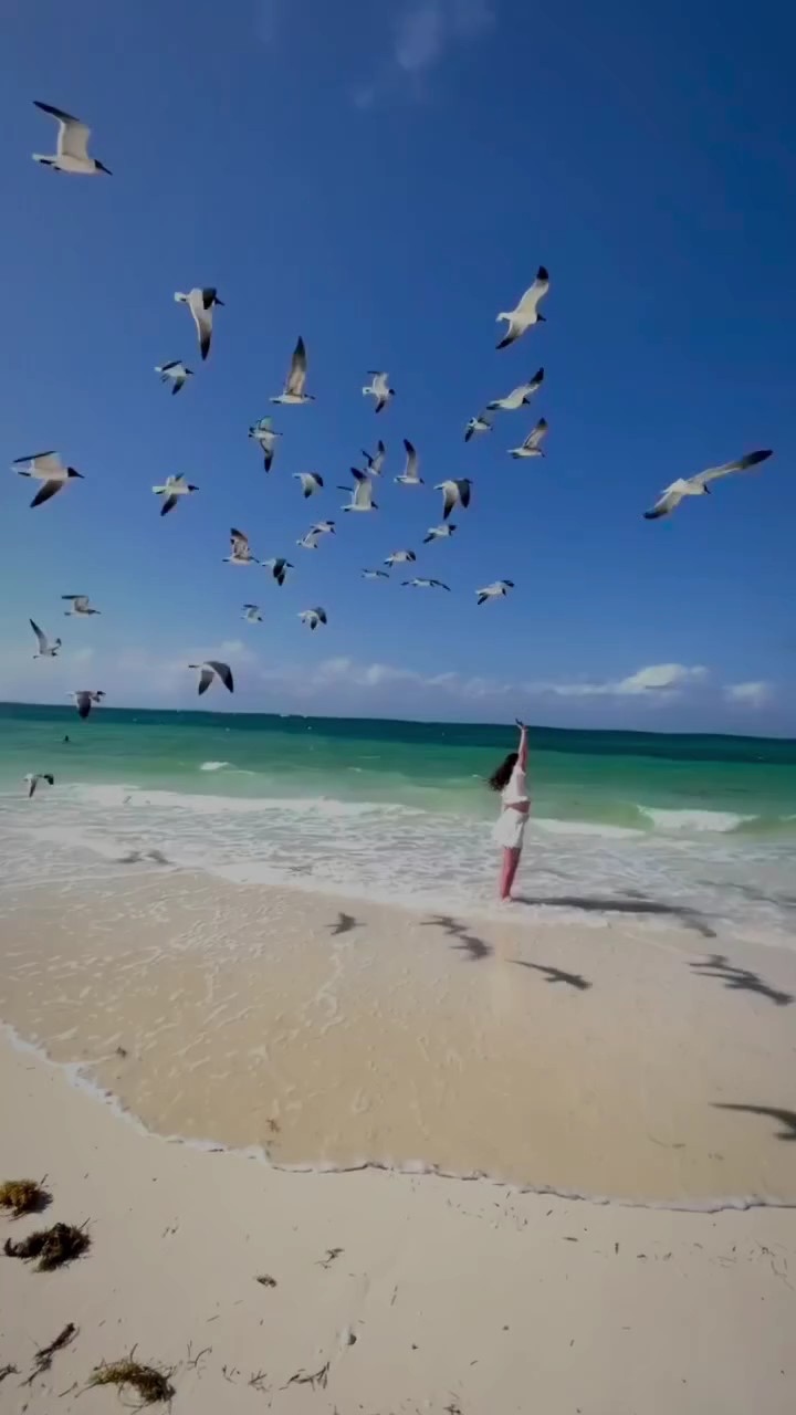 slowmo