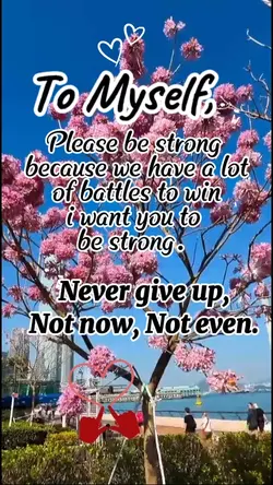 Never give up 