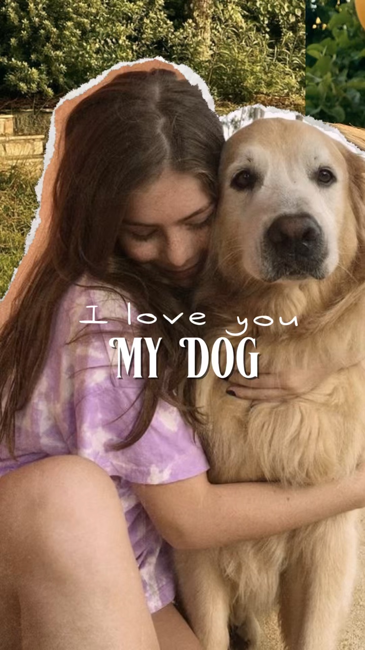 köpeğimi seviyorum