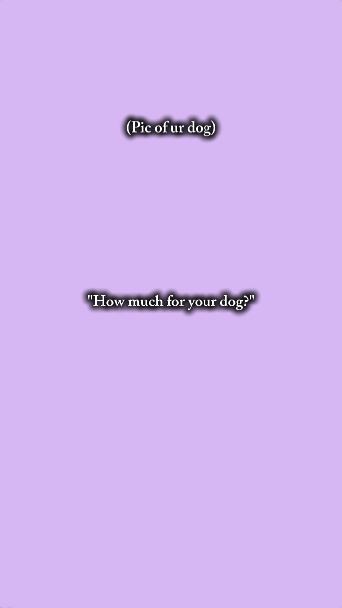 combien 4 votre chien 