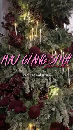 Giáng Sinh đã đến
