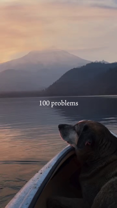 Trend 100 Probleme