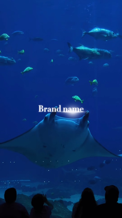 aquarium
