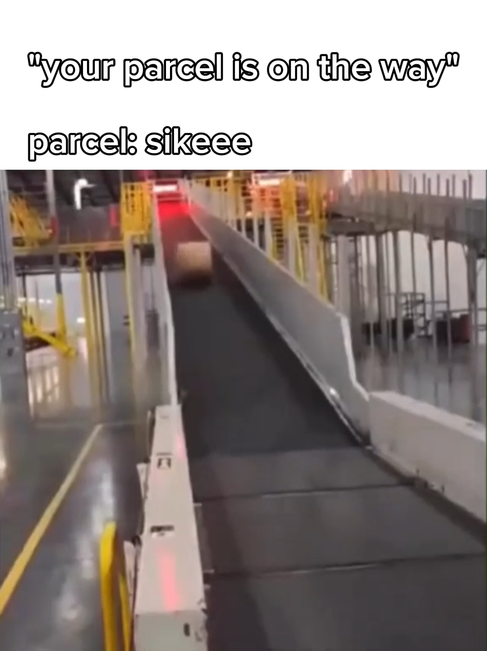 LMAO JAJAJAJAJAJA 