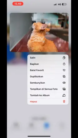 Frame Iphone video