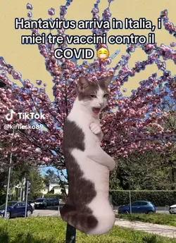 Hantavirus vs Covid 