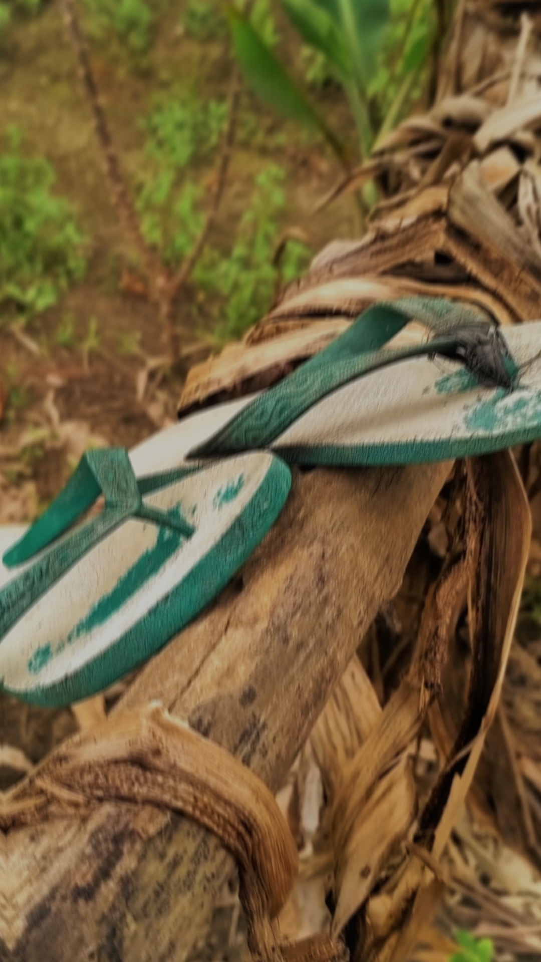 KAMALI KAMALI