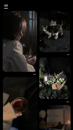 5 pics/videos