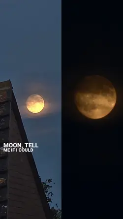 moon template
