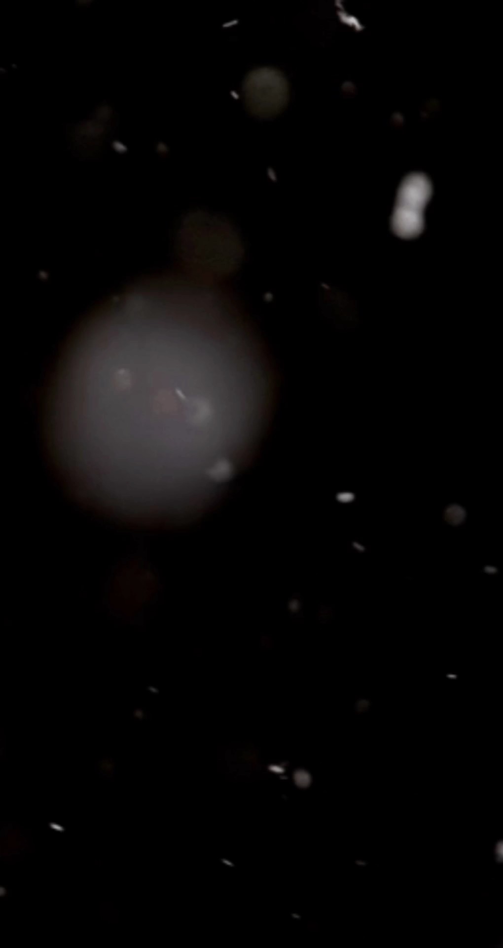 mk rk o vinh mk bii